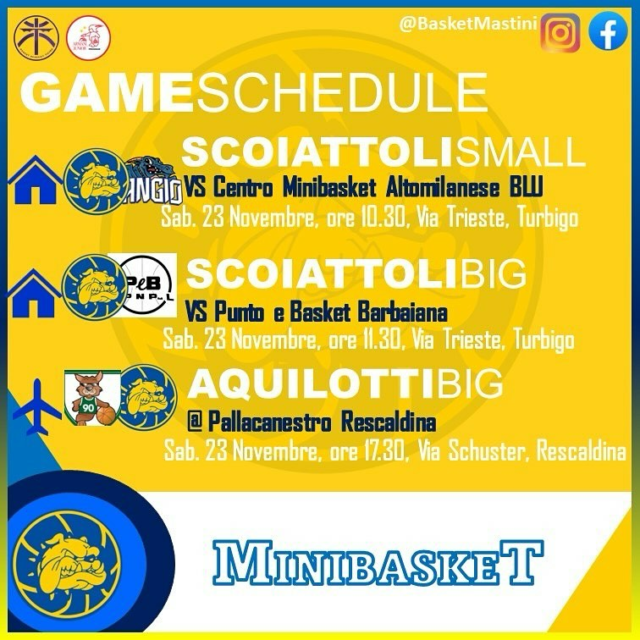 🟡🔵🏀 HERE WE GO!🏀🔵🟡

Tornano le tanto attese partite di campionato per i nostri scoiattoli 🐿️ BIG 2016 e per i nostri aquilotti 🦅 BIG 2014.
I primi in casa contro Punto e Basket, i secondi saranno invece di scena nel “pallone” di Rescaldina.
Seconda di campionato per gli scoiattoli 🐿️ SMALL 2017.

Forza piccoli Mastini!

1-2-3 Mastini!